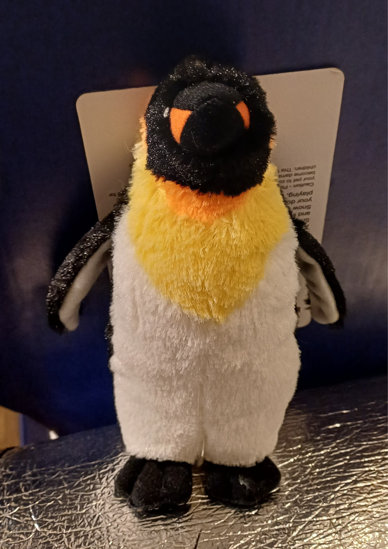 Whitley Bay Pet Supplies