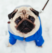 Whitley Bay Pet Supplies