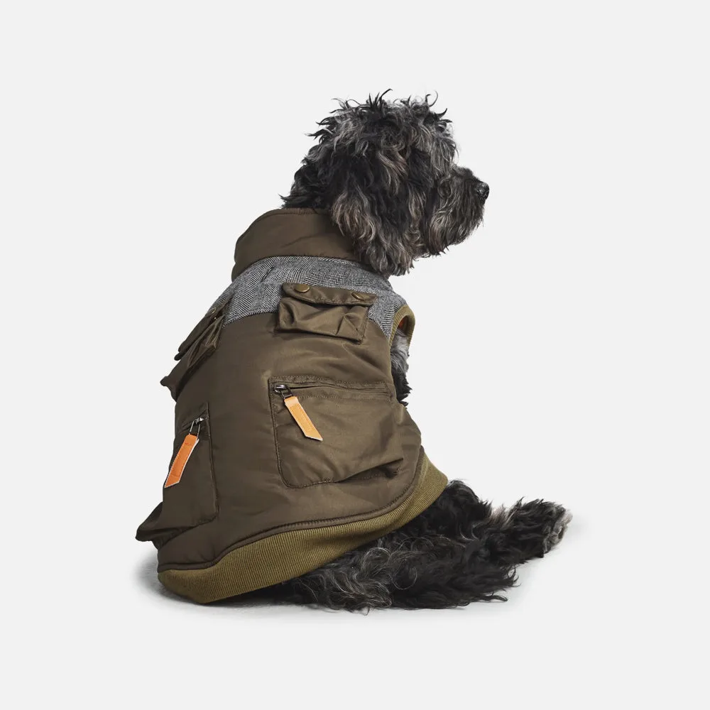 Waterproof Ripstop Dog Coat—Olive - Image 2